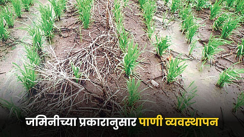 Water Management