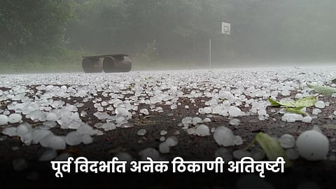 Vidarbha Rain