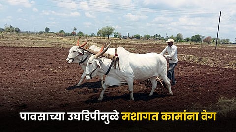 Agriculture Tillage Work 