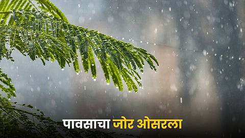 Vidarbha Rain 
