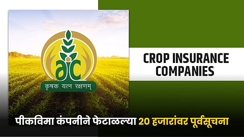 Crop Insurance Company 