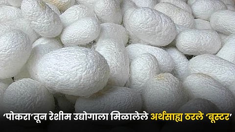 Silk Industry