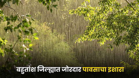 Rain Update