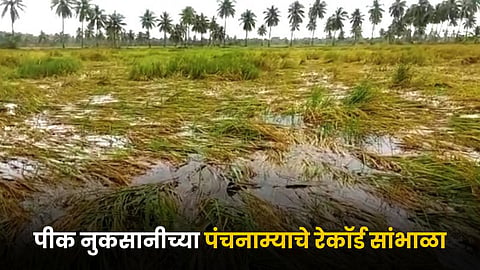 Crop Damage Record