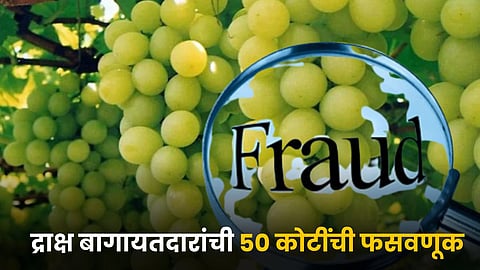 Grape Farmer Fraud 