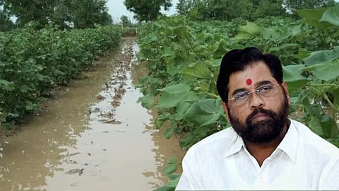 Nuksan Bharpai