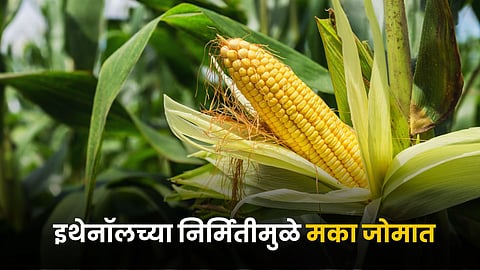 Ethanol Production 