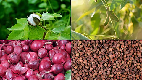 Agriculture Market