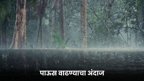 Rain Forecast