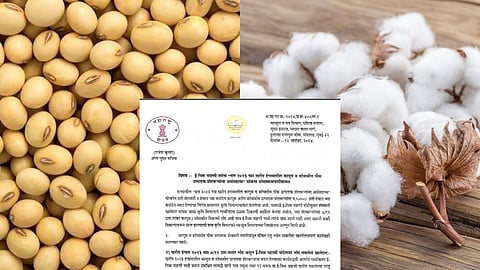 Soybean Cotton Madat