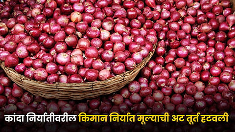 Onion