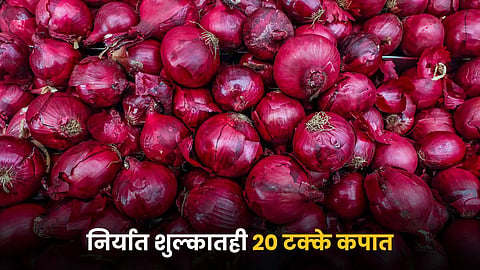 Onion Export Duty