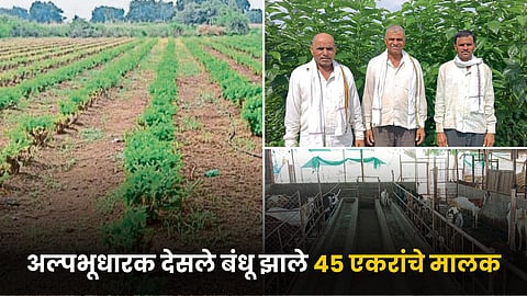 Indian Agriculture