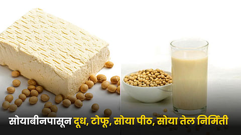 Soybean Foods