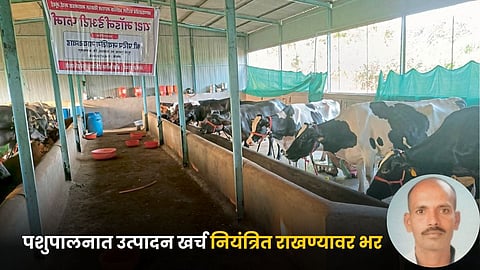 Animal Husbandry