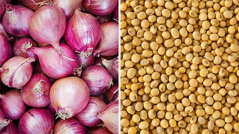 Onion Soybean