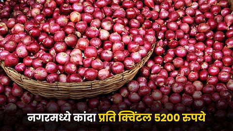 Onion