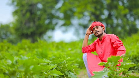 Indian Farmer