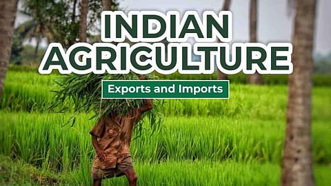 Agriculture Import Export