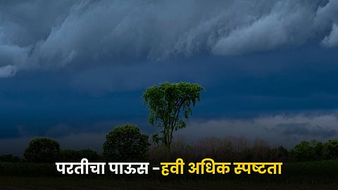 Monsoon Rain 
