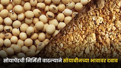 Soybean Rate