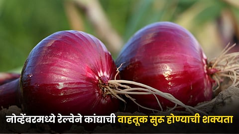 Onion