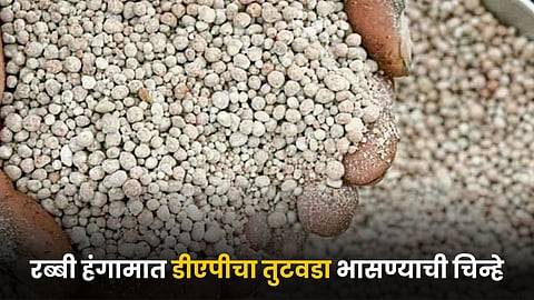 DAP Fertilizer