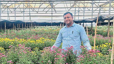 Floriculture