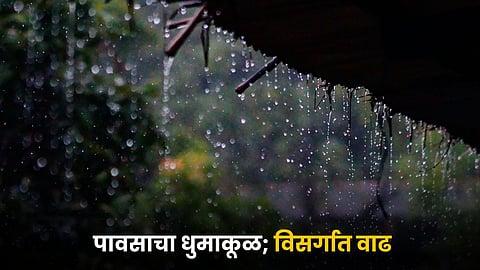 Rain