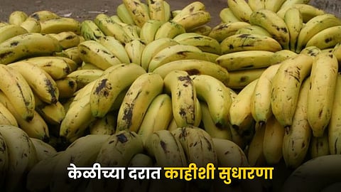 Banana Rate