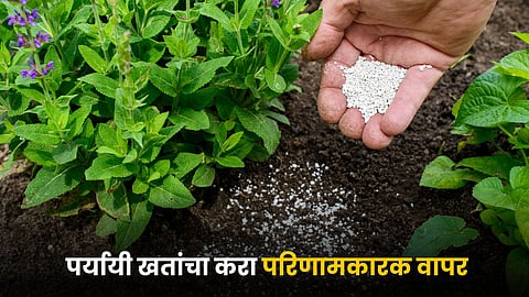 Fertilizers