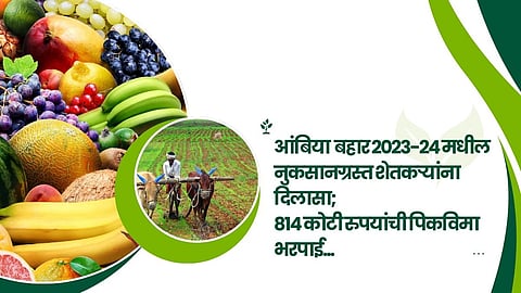 Crop Insurance Compensation