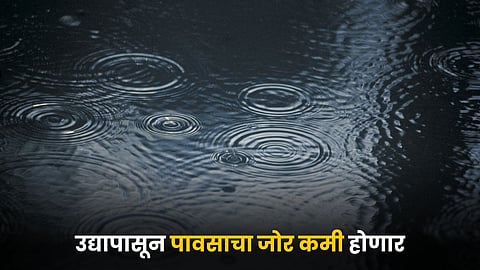 Rain