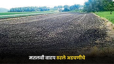 Agriculture Land