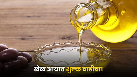 Edible Oil 