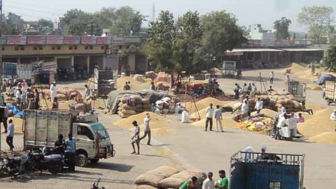 Amaravati APMC 