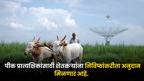 Agriculture Subsidy