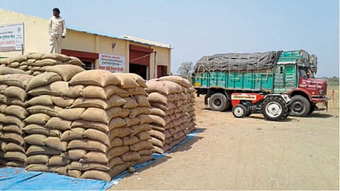 Soybean Market 