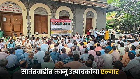 Cashew Farmers Issue