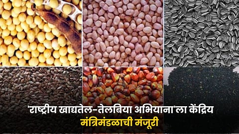 National Edible Oil-Oilseed Campaign