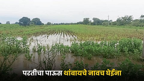 Monsoon