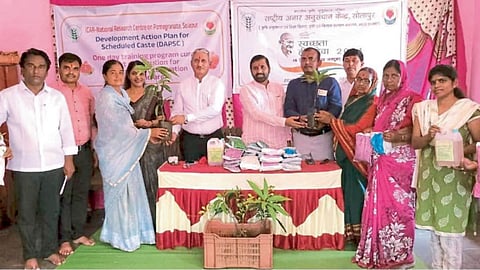 Agriculture News