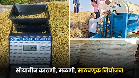 Soybean Farming