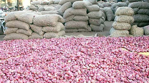 Onion Market Solapur