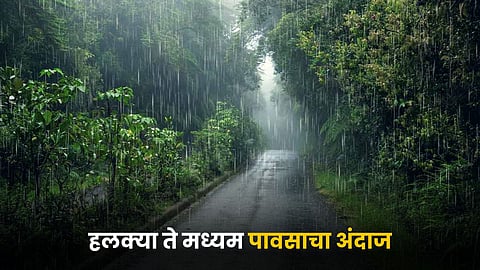 Rain