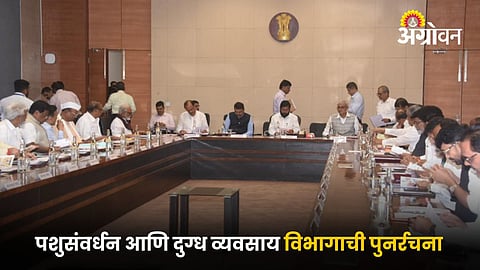 Cabinet Meeting