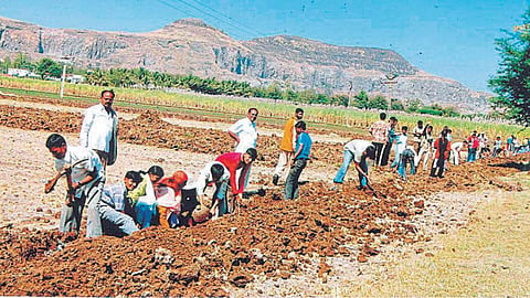 Rural Development 