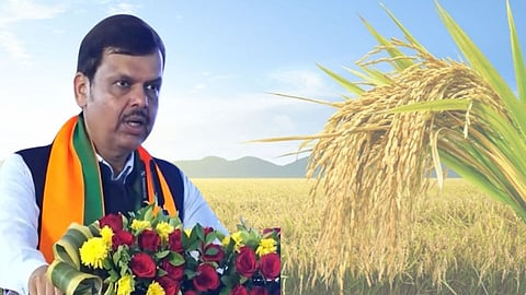 Devendra Fadnavis