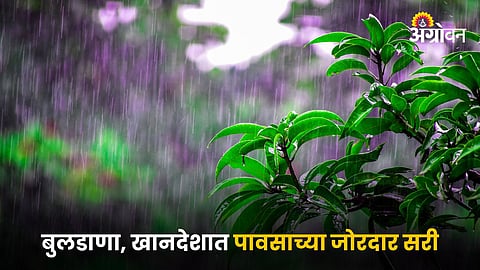 Rain