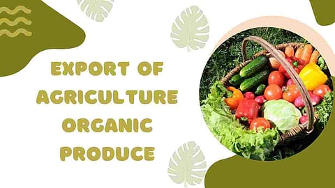  Agriculture Organic Produce